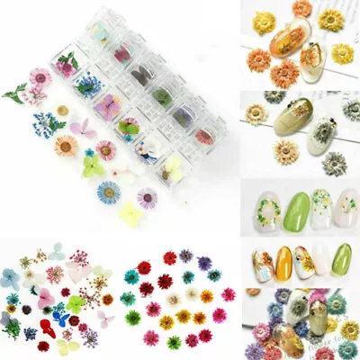 Natural Art Real Nail Flower Set Nail Art Decal 3D Accessory Parts Set • £5.17