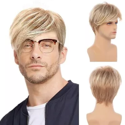 Man Gold Short Hair Synthetic Wig Young Natural Party Cosplay Hairstyle Toupee • $19.99