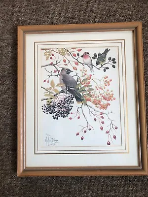 Ltd Edition Framed & Signed Print 'Berries For Visiting Birds' Marjorie Blamey • £45
