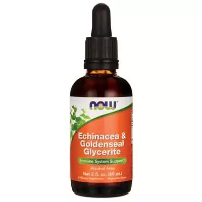 NOW Foods Echinacea & Goldenseal Glycerite 2 Fl Oz Liq • $12.44