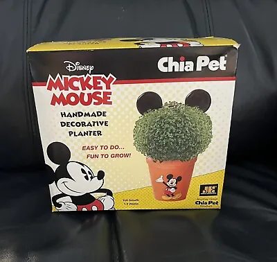 Disney Mickey Mouse Handmade Decorative Planter • $9