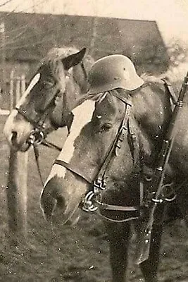 £6.88 • Buy Horse On German Helmet With Rifle WW2 Photo Glossy 4*6 In J011