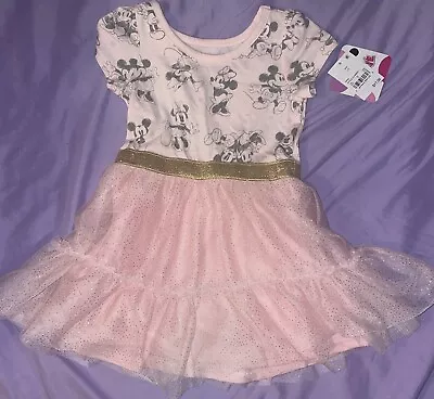 Disney Minnie Mouse Pink With Gold Trim Tutu Dress Girls Size 2T NEW • $15