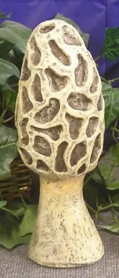 6004 Large Morel Morrell Mushroom 13 1/2  High Latex Fiberglass Production Mold • $280