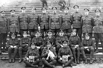 Egt-3 Jack Russell Mascot? Devonshire Regiment 1919. Photo • £3.35