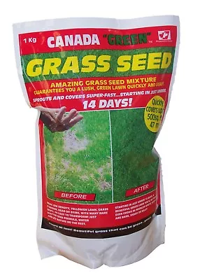 Canada Green Grass Seed- Super Fast Grow- UK No.1 Quality 1kg Bags  • £65.99