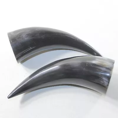 2 Small Polished Cow Horns #4731 Natural Colored • $32