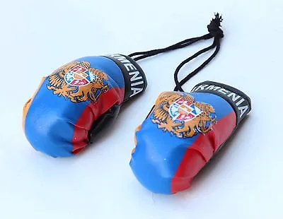 Boxing Gloves Small  Armenian Flag  For Car Mirror   Mini Coat Of Arms Picture1 • $18