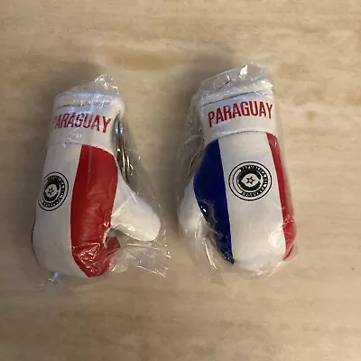 Paraguay Country Flag Mini Boxing Gloves Pair Keychains • $13.05