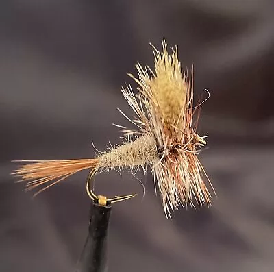 March Brown Dry Fly • $2.25