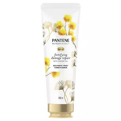 Pantene Pro V Nutrient Blends Fortifying Damage Repair Conditioner 250ml • $5.50