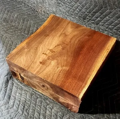 SALE! 12 ×12 ×5¼  Black Walnut Salad Bowl Turning Blank. Lathe Carving Wood • $61.99