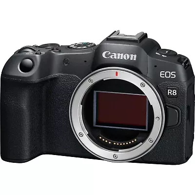 New Canon EOS R8 Mirrorless Camera Body • £1139