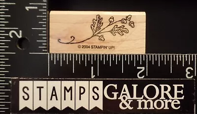 Stampin' Up! Rubber Stamps 2004 SMORGASBORDERS FLOURISH MAPLE LEAF ACORNS #2127 • $1.99