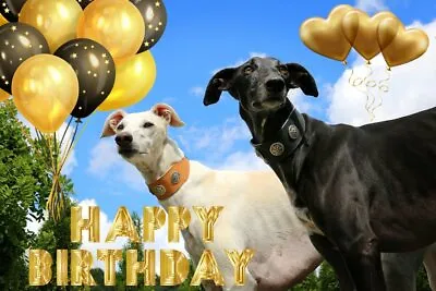 £2.94 • Buy Greyhound Whippet Happy Birthday Card Blank Greeting Cards Unique Sport Racing 