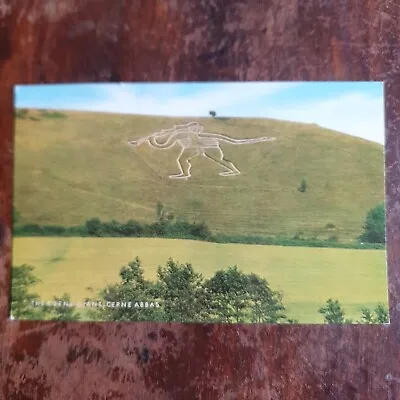 The Cerne Abbas Giant Salmon PC 1541306 Unposted. • £3.75