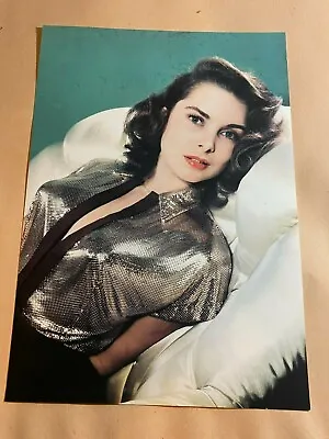 Vintage Photograph 12  X 8.25  Janet Leigh Actress In Sexy Pose • £4.99