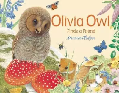 Olivia Owl Finds A Friend (Maurice Pledger Surprises) - Board Book - GOOD • $3.89