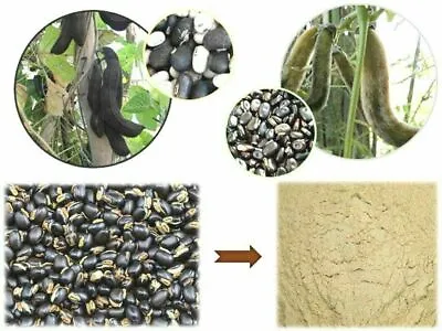 Mucuna Pruriens Black Seed Powder Kauch SeedKanch Beej Kala Powder Free Ship • $13.99