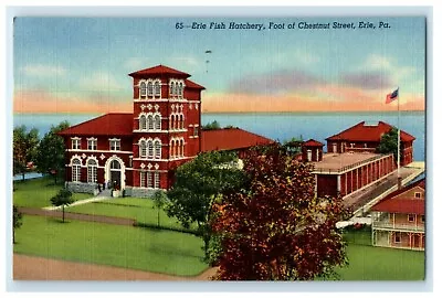 1950 Erie Fish Hatchery Foot Of Chestnut Street  Erie Pennsylvania PA Postcard • $7.95