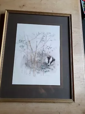 £30 • Buy Print Badger Mads Stage Wildlife Danish
