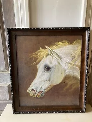 Vintage Arabian Horse Print Framed Magical Fantasy • $500