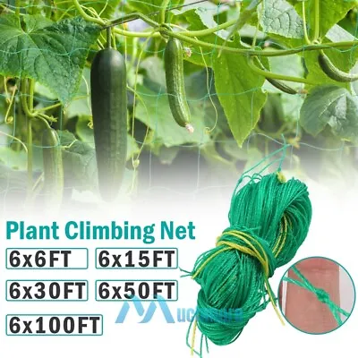 Heavy Duty Trellis Netting Plant Support Net Garden Vine Vegetable Climbing Grow • $12.61