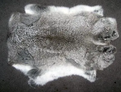 RABBIT SKIN NATURAL LIGHT GREY Fur Pelt Bunny Soft Crafts Supply Rabbits Skins • $9.99