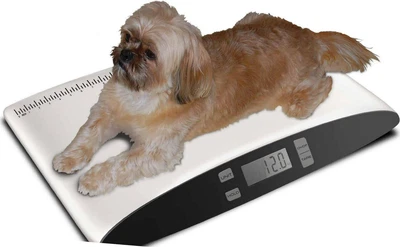 $62.06 • Buy Small Pet Dog Digital Scale Veterinarians Breeders Animal Weight Monitor Health