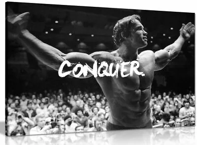 Motivational Inspiritional Arnold Schwarzenegger Conquer Canvas  Picture Print • £34.99