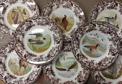 Spode Woodland Set Of 8 Dinner Plates- 8 Different Hard To Find Designs • $159.96