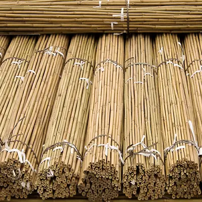 2ft-3ft-4ft-5ft-6Ft Thick Bamboo Canes Strong Heavy Duty Garden Plant Support • £9.49