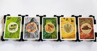 Settlers Of Catan Card Holder - Stackable • $3.45