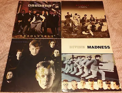 MADNESS - 4x LPs **DAMAGED** Absolutely Rise & Fall Mad Not Mad Divine KIX79 • £19.99