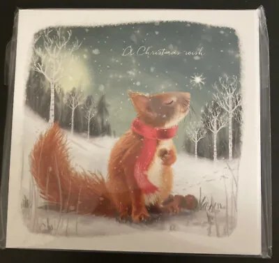 RSPCA Sheffield Charity Christmas Cards 🎄Christmas Wish Squirrel 🐿 • £4.25