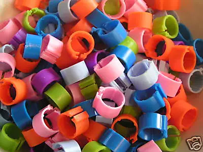 £4.95 • Buy 50 X New Mixed Colour Clip Leg Rings 8mm /  Chicks, Bantams, Pullets, Hens 