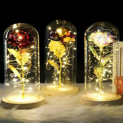 $20.99 • Buy Eternal Beauty And Beast Rose Flower LED Light In Glass Dome Valentine Best Gift