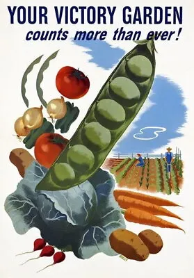 83804 Vintage Victory Garden Grow Your Own Vegetables Decor Wall Print Poster • $25.95