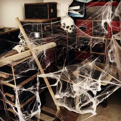 90g Halloween Spider Web With Black Spider Stretchable Cobweb Party Decoration • £2.99