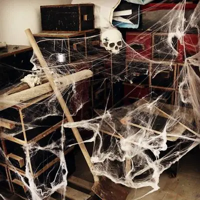Halloween Spider Web With Black Spider Stretchable Cobweb Party Decoration • £11.79