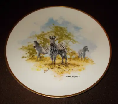 Zebra The David Shepherd Wildlife Collection Wedgwood Collectors Plate (27.5cm) • £25