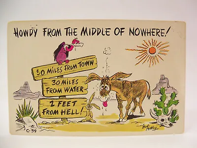 Howdy From The Middle Of Nowhere Vintage Petley Comical Postcard Unused • $2.57