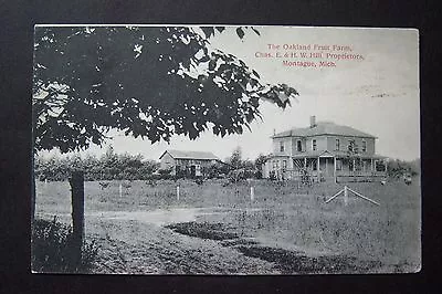 THE OAKLAND FRUIT FARM Montague Michigan Postcard Postmarked 1908 • $19