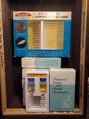 Vintage Prepared Microscope Slides  With Actual Specimens- Lot Of 7 Boxes Japan  • $109.99