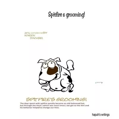 Spitfire's Grooming! • $13.84