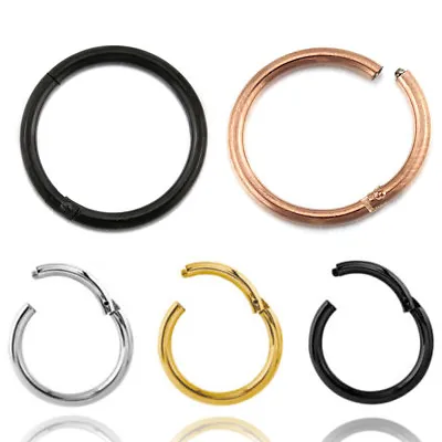 Titanium Nose Lip Ear Septum Seamless Segment Clicker Ring Hoop Earrings Sleeper • $5.74