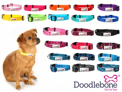 Doodlebone Bold Colours Nylon Dog Puppy Collar Non Pad Pad Adjustable  @Melian • £6.95