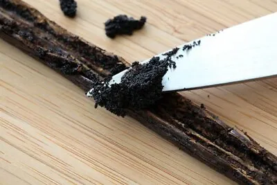 MADAGASCAR Vanilla Beans Extract Grade B (Perfect For Extract!) • $11.99