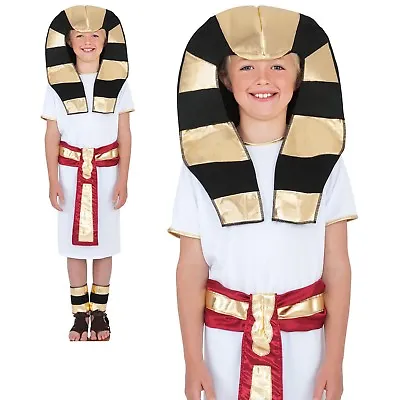 £14.99 • Buy Egyptian King Historic Pharaoh Costume Boys Book Week Fancy Dress Outfit