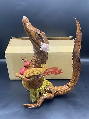 Vtg Baby Alligator Taxidermy Souvenir Hula Hula In Orig. Box • $46